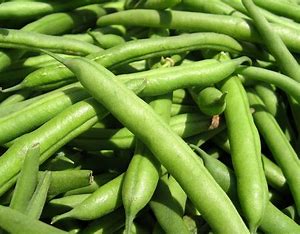 beans
