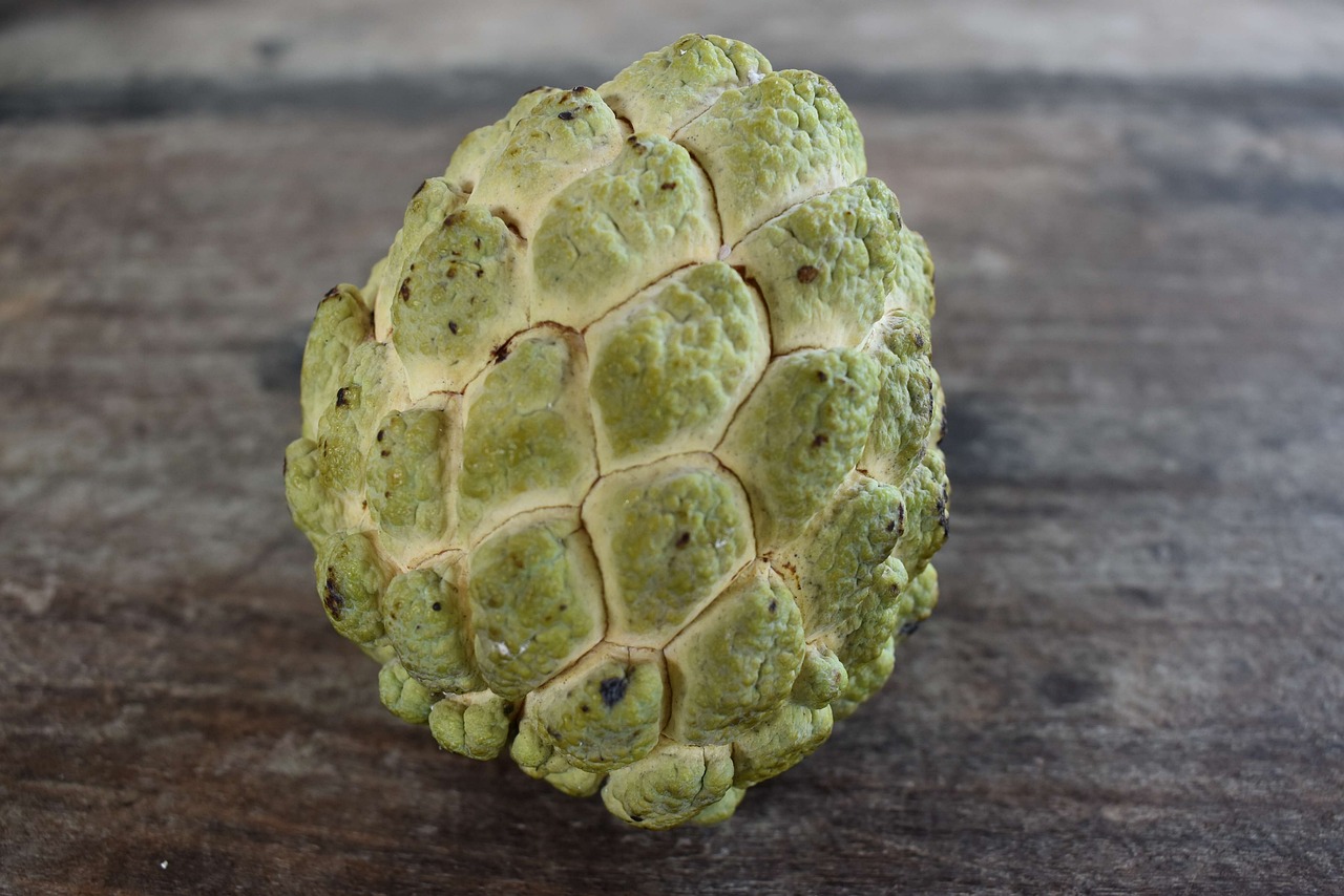 Custard Apple