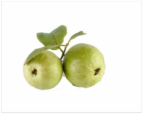 Guava